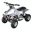 Mini ATV at_g01