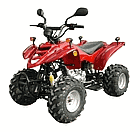 110 cc ATV at_g03