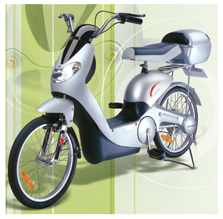 electric bicycle